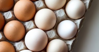 Ovos/cepea: preços se mantêm estáveis na maioria das regiões (Cepea)